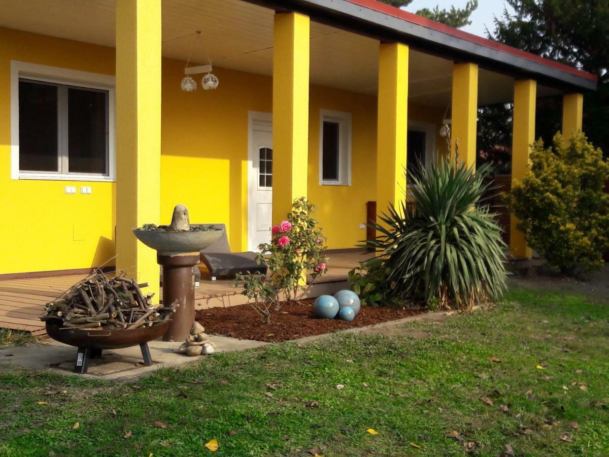 Bungalow At Lake Alte Donau فيينا المظهر الخارجي الصورة
