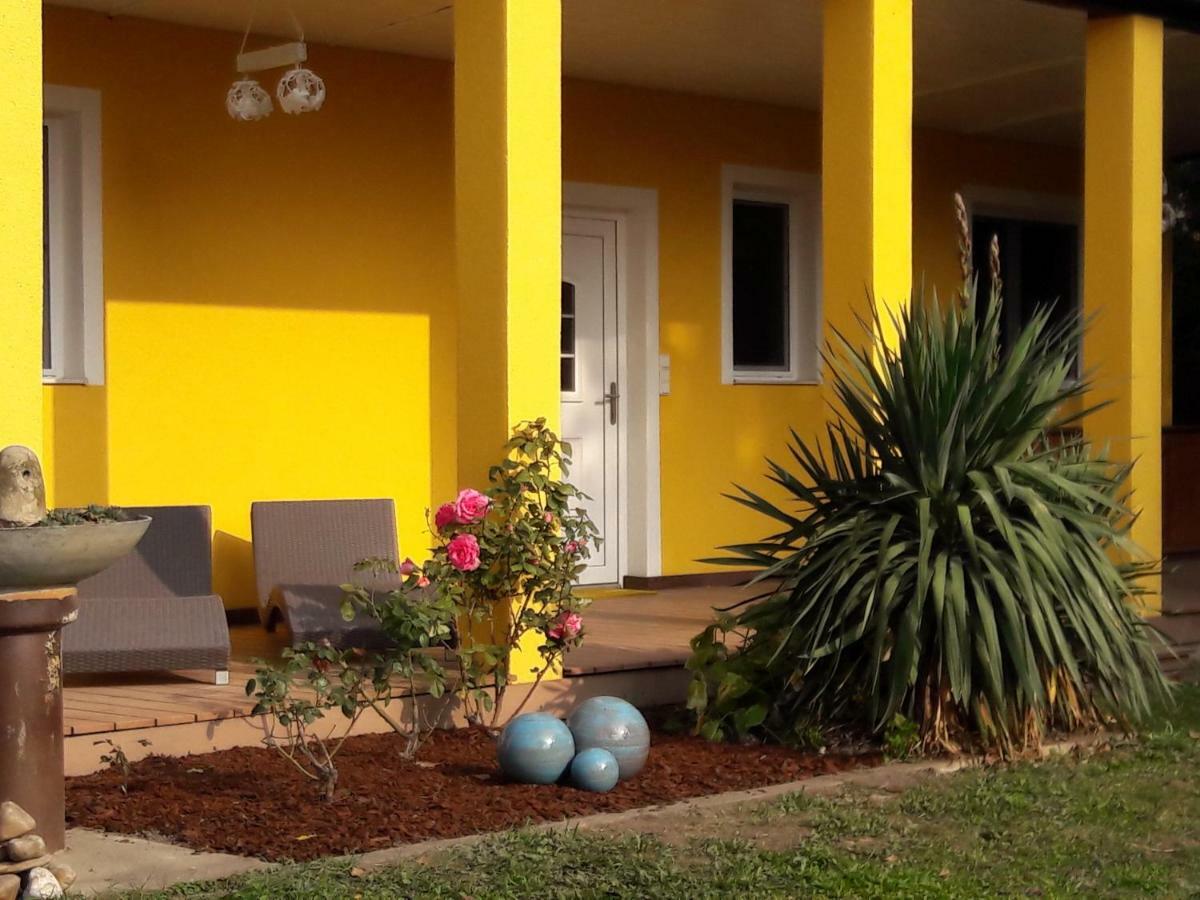 Bungalow At Lake Alte Donau فيينا المظهر الخارجي الصورة